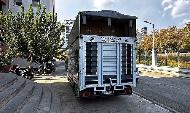 Adana'da 30 milyonluk kaçak doldurulmuş sigara ele geçirildi