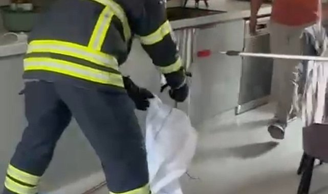 Adana'da mutfaktan çıkan yılan paniğe yol açtı