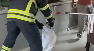 Adana'da mutfaktan çıkan yılan paniğe yol açtı
