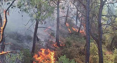 Adana'da orman yangını