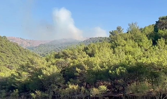 Adıyaman'da korkutan orman yangını