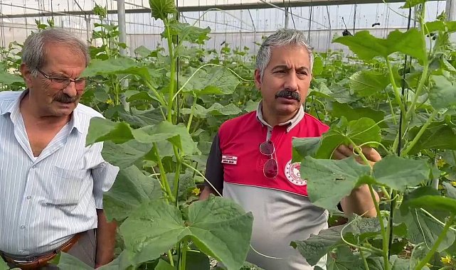 Adıyaman'da Sera-GES Projesiyle tarımsal üretim hız kazanıyor