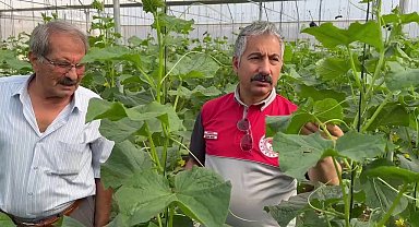 Adıyaman'da Sera-GES Projesiyle tarımsal üretim hız kazanıyor