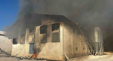 Afyonkarahisar'da tavuk çiftliğinde yangın