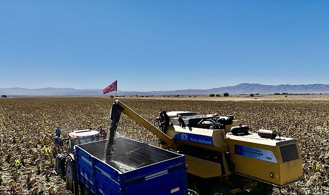 Ağrı'da ayçiçeği üretiminden 758 milyon TL'lik kazanç bekleniyor