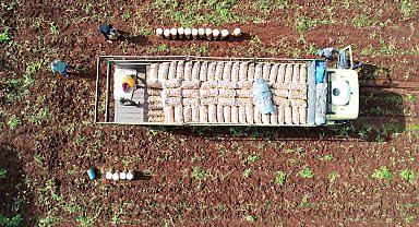 Ağustosta en çok ucuzlayan ürün patates oldu