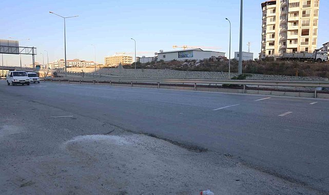 Ahırdan kaçan buzağı, kara yoluna çıkınca sürücülere zor anlar yaşattı