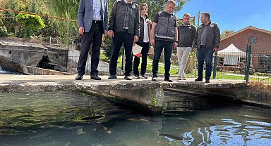 Alabalık yetiştiriciliğinde üretim süreçleri incelendi