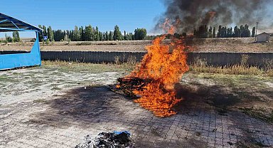 Alaca'da ele geçirilen 21 kök kenevir imha edildi