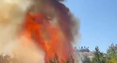 Alanya'da çalılık alanda çıkan yangında 2 sera ve 2 dönüm arazi zarar gördü