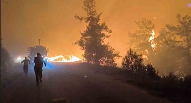 Alanya'da orman yangını