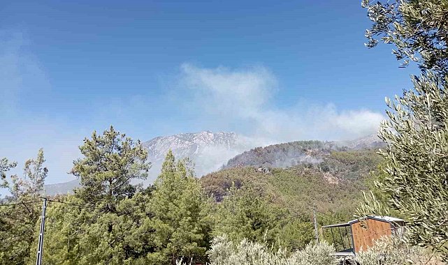 Alanya'da ormanlık alan yangınları kontrol altına alınmaya çalışılıyor