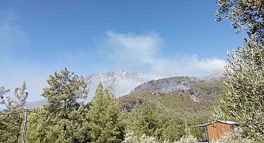 Alanya'da ormanlık alan yangınları kontrol altına alınmaya çalışılıyor