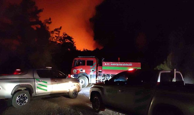 Alanya'da ormanlık alanda yangın