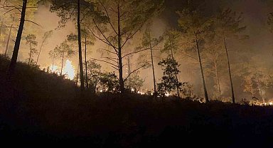 Alanya'da ormanlık alandaki yangın