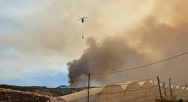 Alanya'daki orman yangını yeniden alevlendi