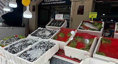 Alaplı'da balık tezgâhları boş kaldı