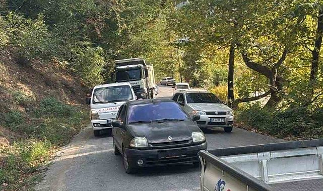 Alaplı'da yola devrilen ağaç, vatandaşlar tarafından kaldırıldı