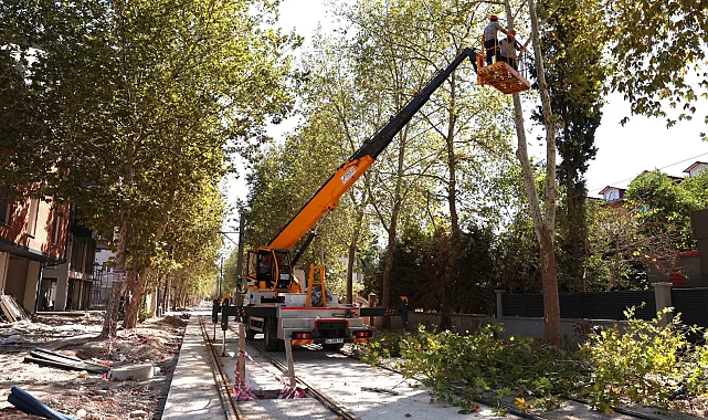 Alikahya Tramvay Hattı için ağaçlara itinalı budama