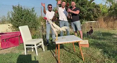Amasya'da düğünde damada 250 bin TL değerinde Hint horozu hediye edildi