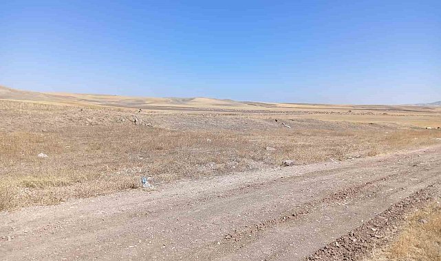 Ankara'daki bacanak cinayetinde 10 yıllık husumet iddiası