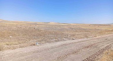 Ankara'daki bacanak cinayetinde 10 yıllık husumet iddiası