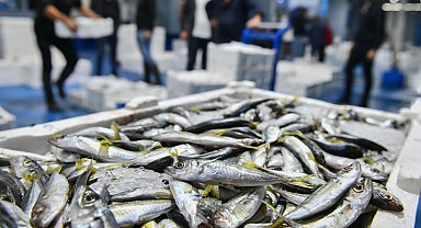 Ankara'da balık sezonu başladı, denetimler sıklaştı