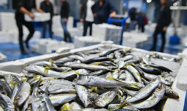 Ankara'da balık sezonu başladı, denetimler sıklaştı