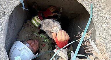 Antakya'da 5 metrelik kuyuya düşen yavru köpek kurtarıldı