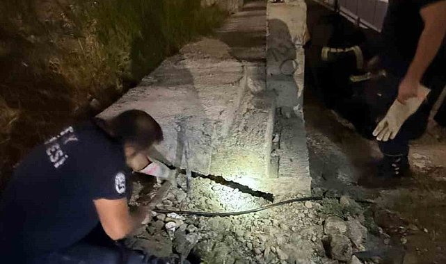 Antakya'da beton boru içinde sıkışan kedi kurtarıldı