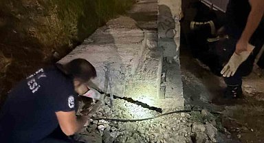 Antakya'da beton boru içinde sıkışan kedi kurtarıldı