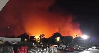 Antalya Aksu'da ormanlık alanda yangın