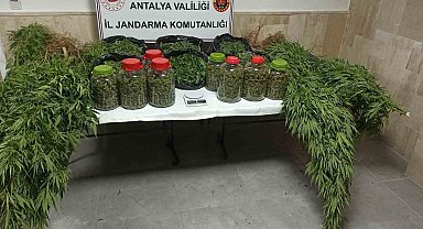 Antalya'da 43 kilo uyuşturucu madde ele geçirildi