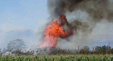 Antalya'da kargılık alanda yangın