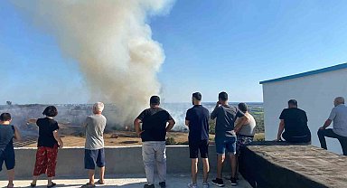 Antalya'da makilik alanda çıkan yangın zeytin ağaçlarına zarar verdi