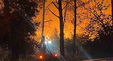 Antalya'da ormanlık alanda yangın