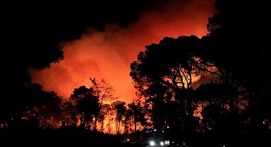 Antalya'da otellere yakın ormanlık alanda çıkan yangın kontrol altına alındı