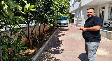 Antalya'da portakal koparma kavgası
