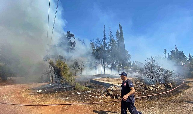 Antalya'da yaşlı kadını sinir krizine sokan yangın