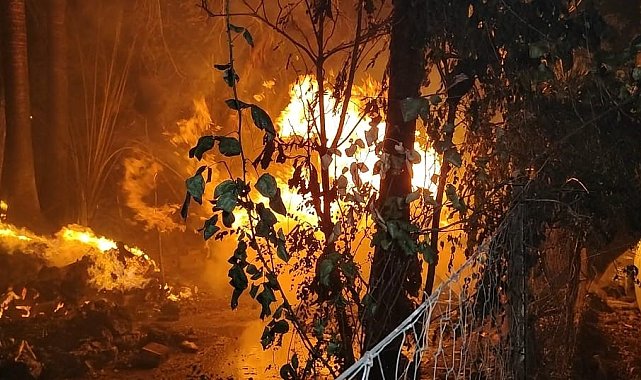Antalya'da yerleşim yerine yakın sazlık alanda yangın paniği