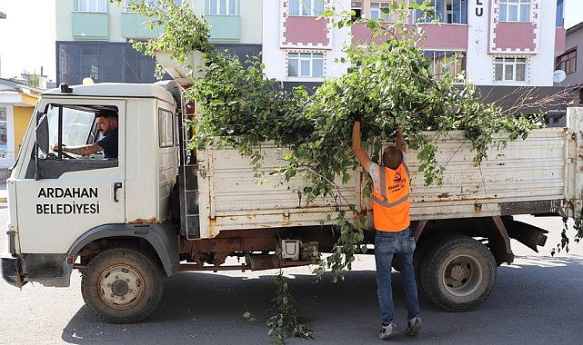 Ardahan Belediyesi'nden ağaç budama faaliyeti