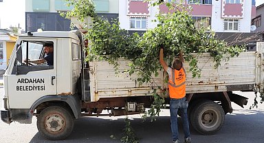 Ardahan Belediyesi'nden ağaç budama faaliyeti