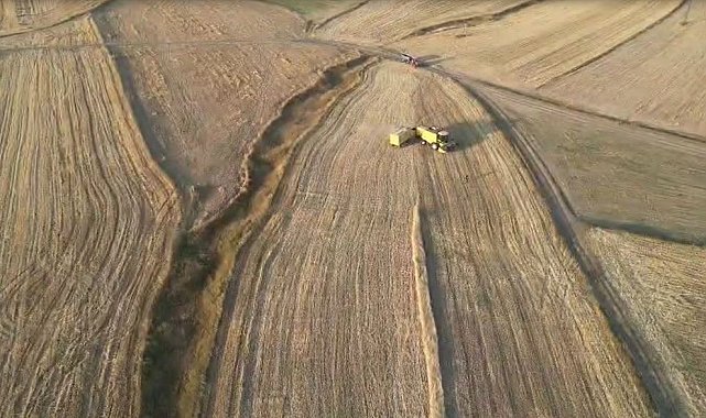 Ardahan'da arpa ve buğday hasadı sürüyor