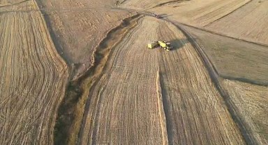 Ardahan'da arpa ve buğday hasadı sürüyor