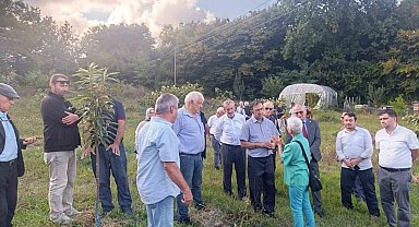 Arıcılar ve akademisyenler kestane balının geleceğini konuştu