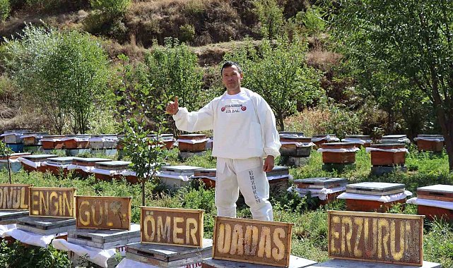 Arılarına yazmayı öğretti