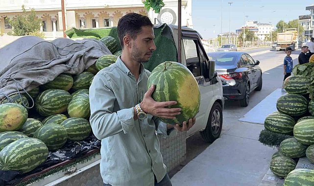 Arnavutköy'de hırsız tezgahtan 15 karpuz çaldı: O anlar kamerada