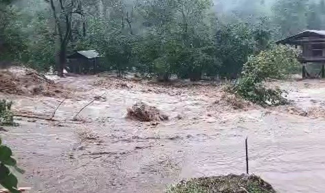Artvin'de sağanak yağış sele neden oldu