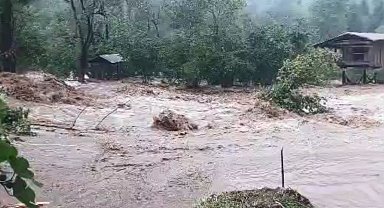 Artvin'de sağanak yağış sele neden oldu