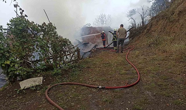 Artvin'de yangın paniği: 4 ev küle döndü